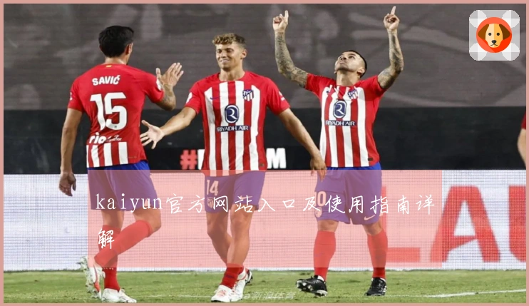 kaiyun官方网站入口及使用指南详解