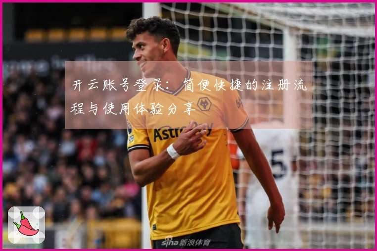 开云账号登录：简便快捷的注册流程与使用体验分享