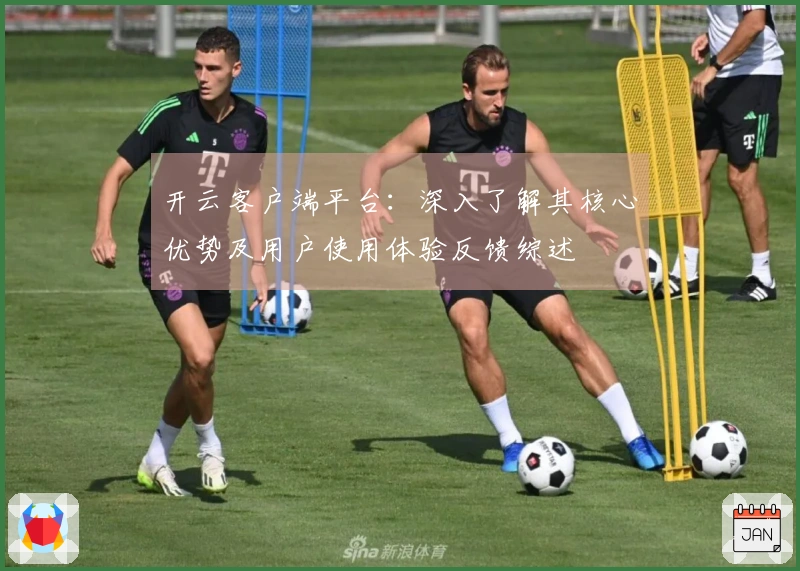 开云客户端平台：深入了解其核心优势及用户使用体验反馈综述